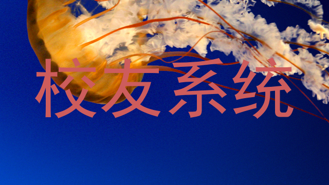 校友系统