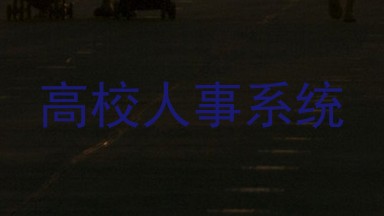 高校人事系统