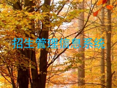 招生管理信息系统