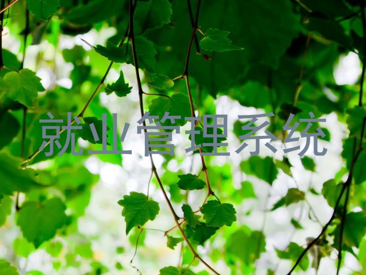 就业管理系统