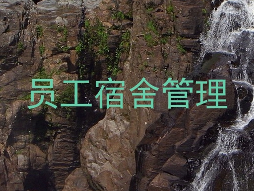 员工宿舍管理