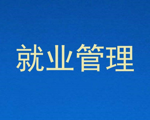 就业管理