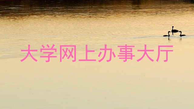 大学网上办事大厅