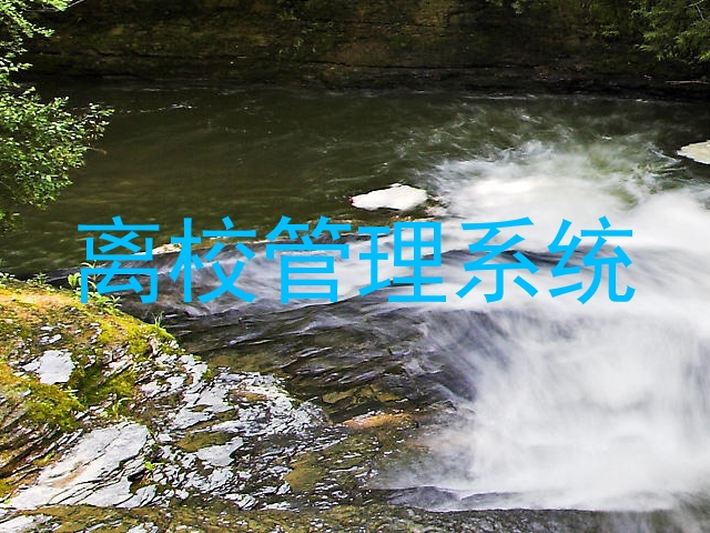 离校管理系统