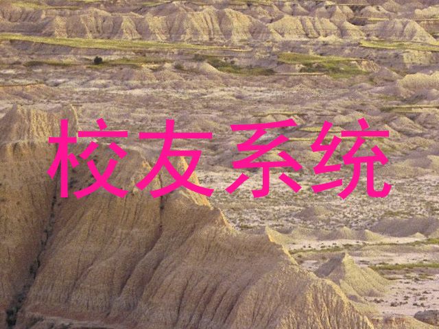 校友系统
