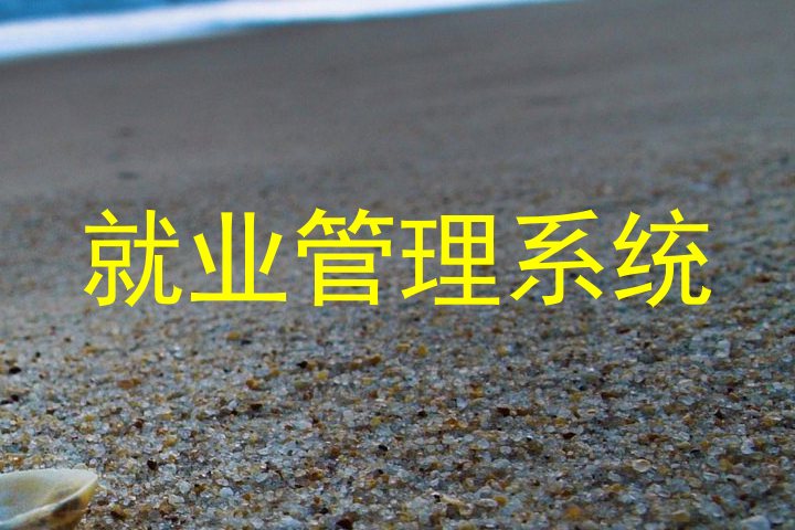 就业管理系统