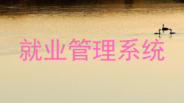 就业管理系统