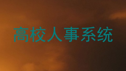 高校人事系统
