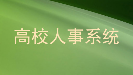 高校人事系统
