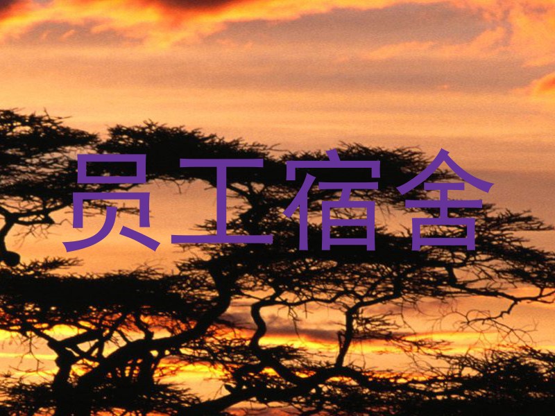员工宿舍