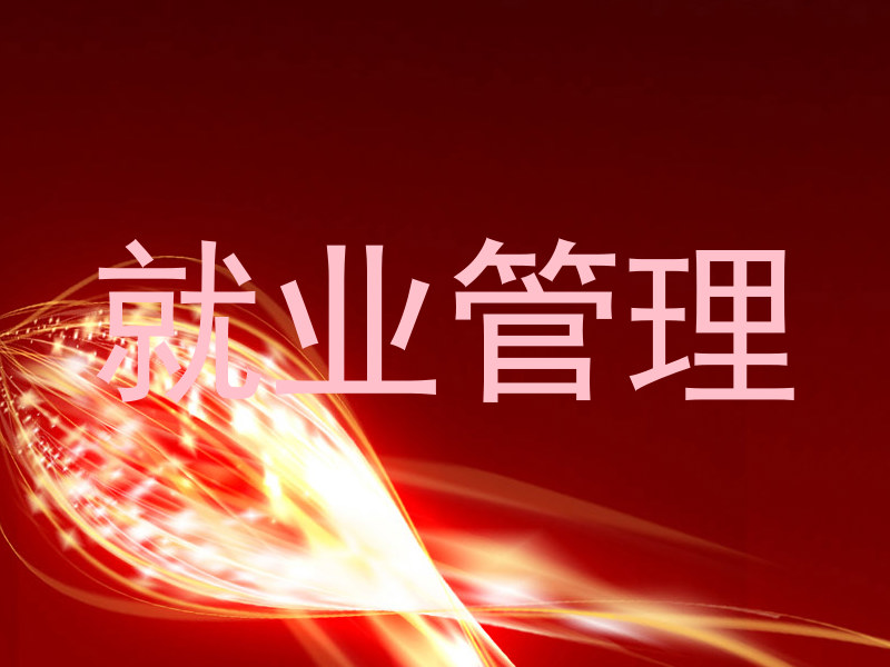 就业管理