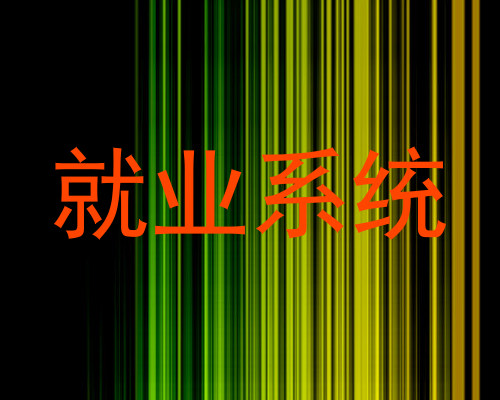 就业系统