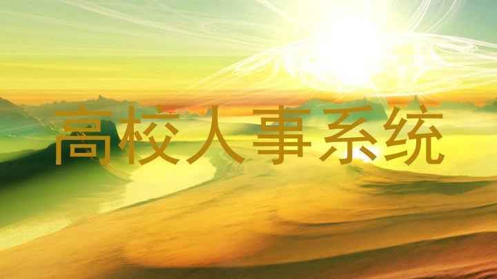 高校人事系统