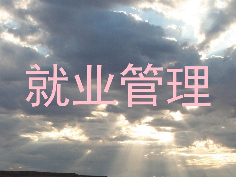 就业管理