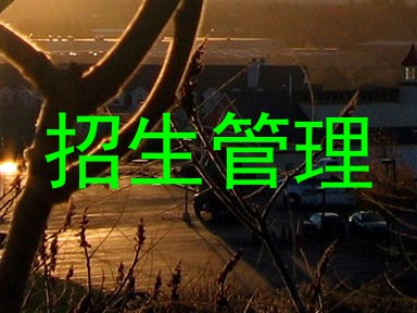 招生管理