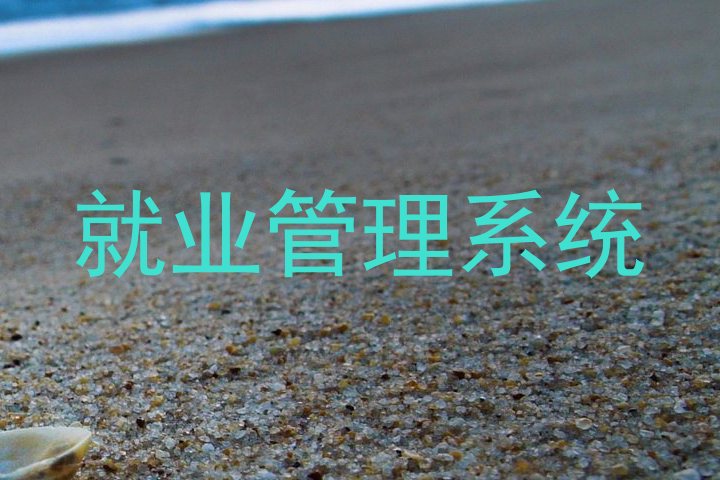 就业管理系统
