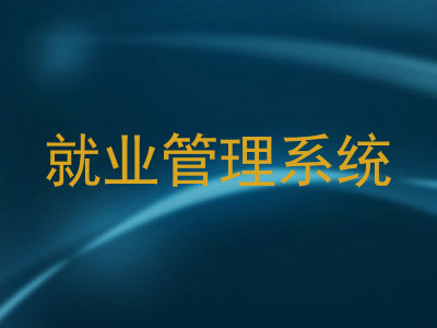 就业管理系统