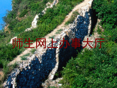 师生网上办事大厅