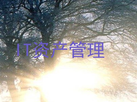 IT资产管理