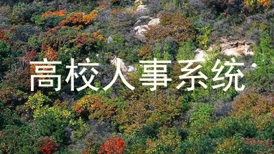 高校人事系统