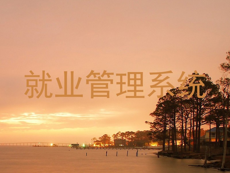 就业管理系统