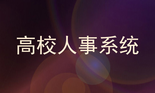 高校人事系统