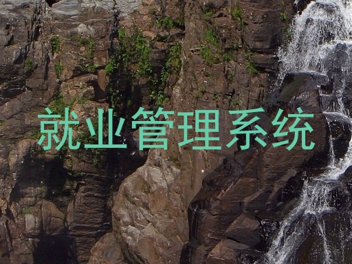 就业管理系统