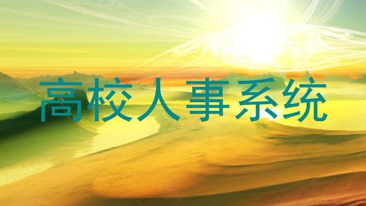 高校人事系统