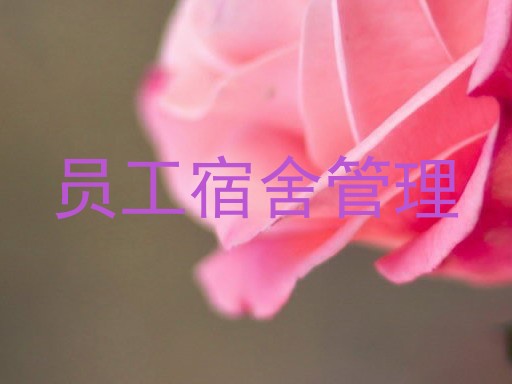 员工宿舍管理