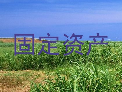 固定资产
