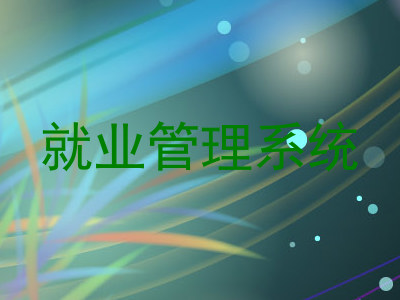 就业管理系统