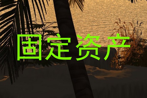 固定资产