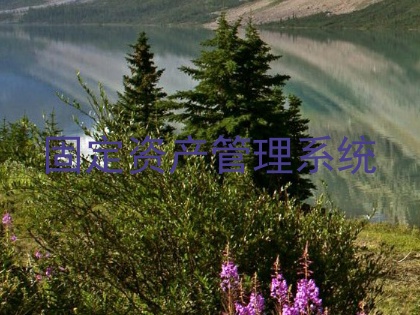 固定资产管理系统