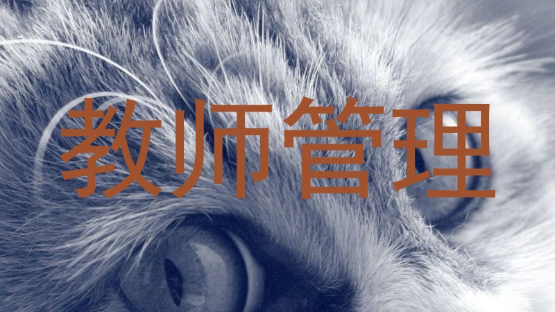 教师管理