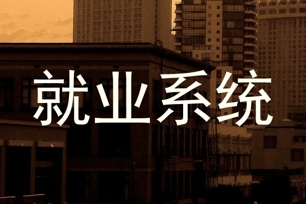 就业系统