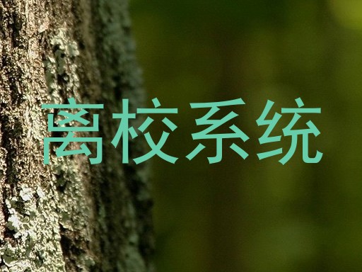 离校系统