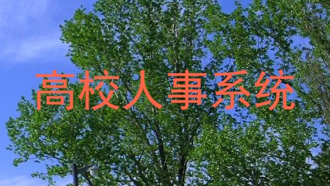 高校人事系统