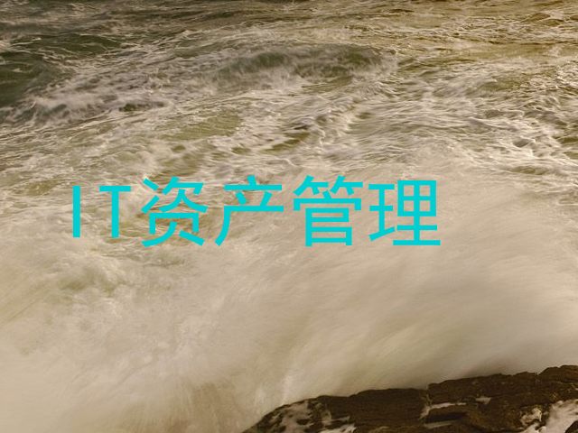 IT资产管理