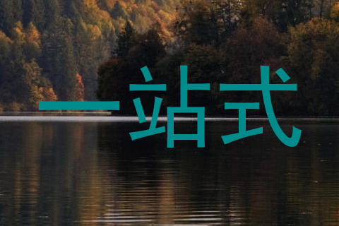 一站式