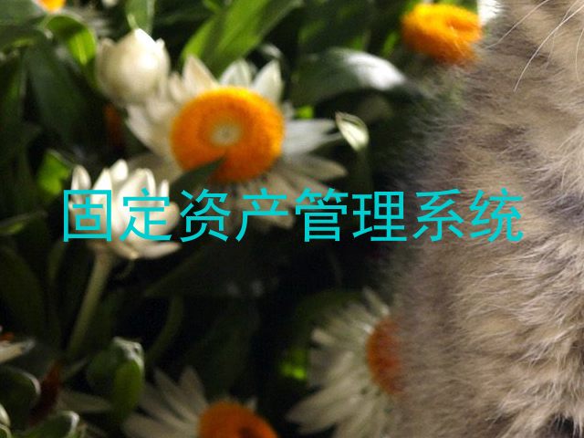 固定资产管理系统