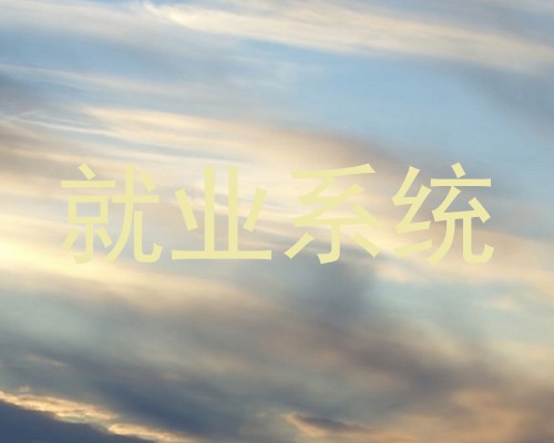 就业系统