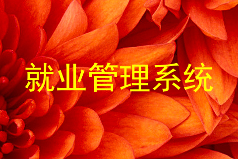 就业管理系统