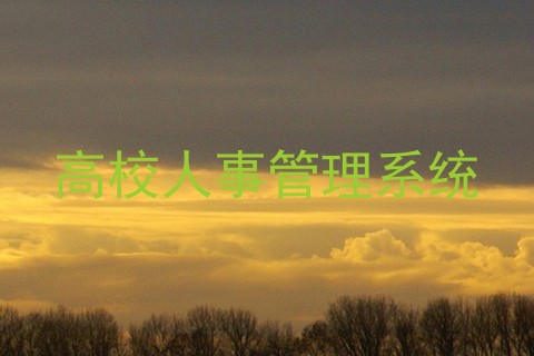 高校人事管理系统