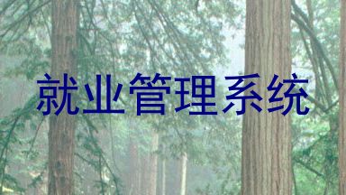 就业管理系统