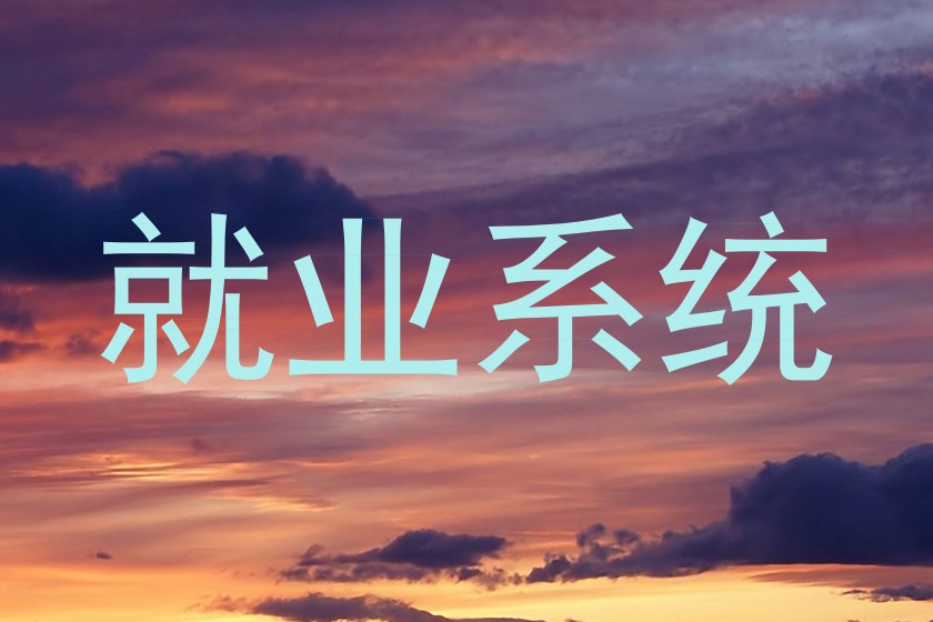 就业系统