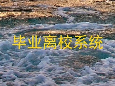 毕业离校系统