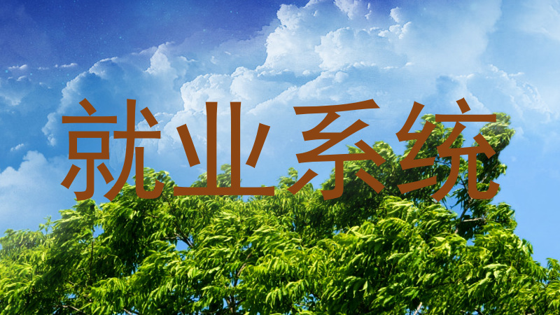 就业系统