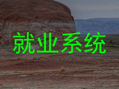 就业系统