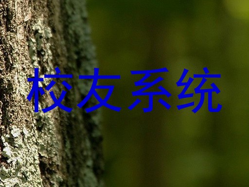 校友系统