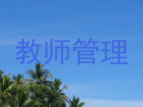 教师管理